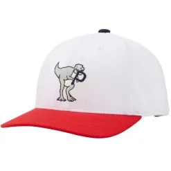 Cobra Golf Puma Youth Dino-Mite P Snapback Golf Cap
