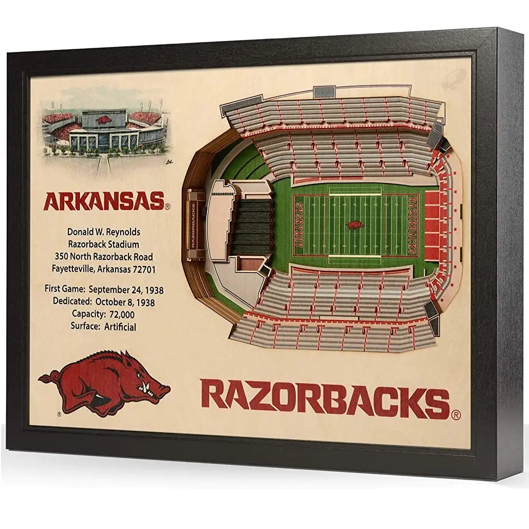 CaddiesShack YouTheFan! NCAA 25-Layer StadiumView Wall Art