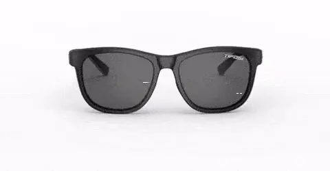 Tifosi Optics Swank Sunglasses